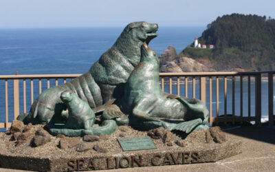 Sea Lion Caves