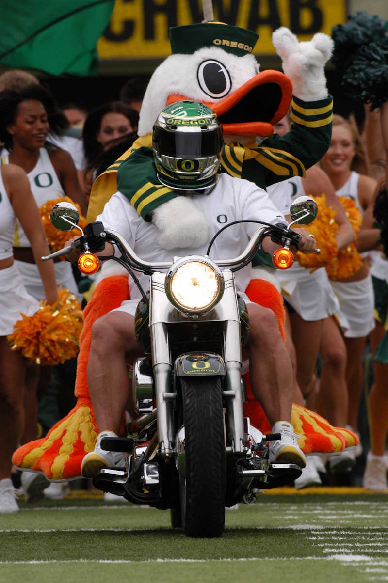 University_of_Oregon_Mascot_by_John_Giustina_courtesy_of_U_of_O_Athletic_Department_ca85afbf-f46a-436e-be07-5ae3c962f543